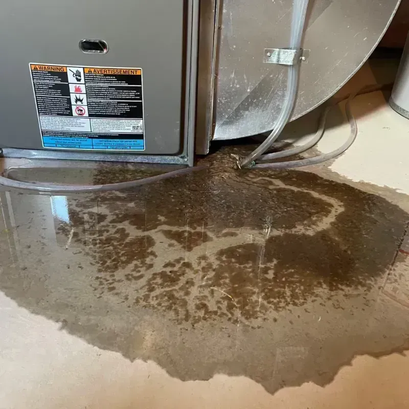 Appliance Leak Cleanup in Seymour, TN